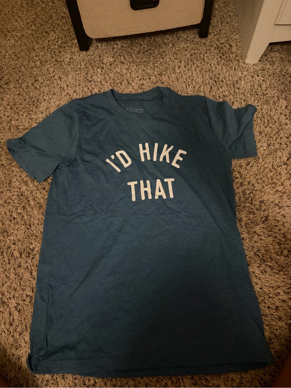 I'd Hike That Blue Graphic Tee